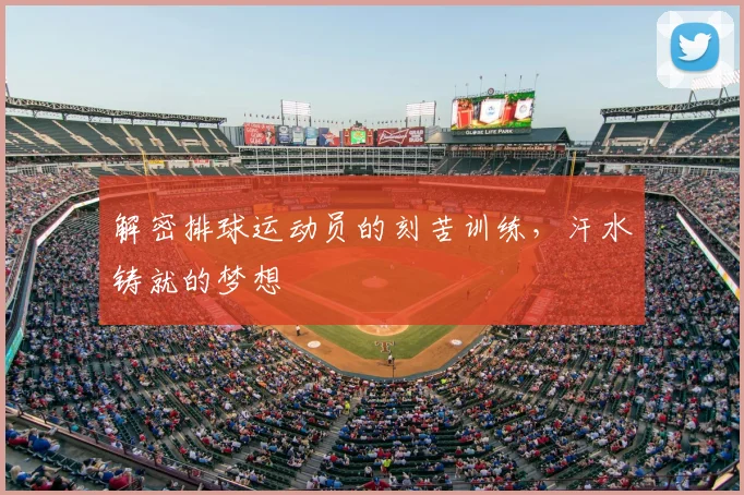 解密排球运动员的刻苦训练,汗水铸就的梦想