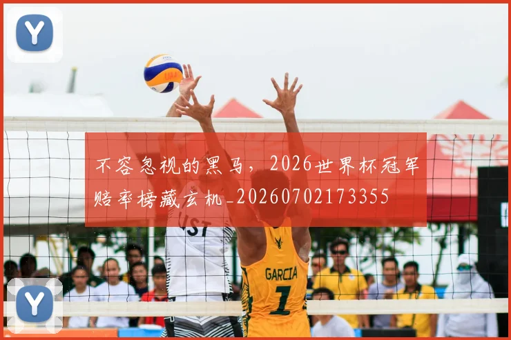 不容忽视的黑马，2026世界杯冠军赔率榜藏玄机_20260702173355