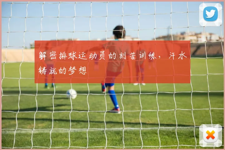 解密排球运动员的刻苦训练,汗水铸就的梦想